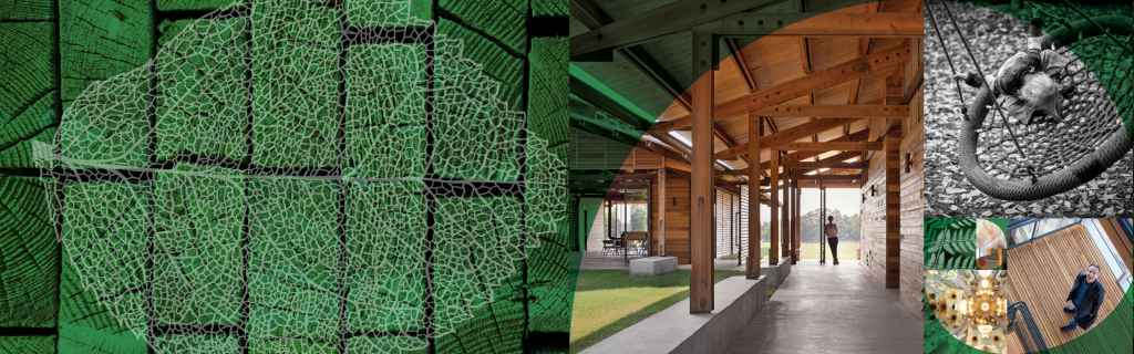 Biophilic Design Basics - International Living Future Institute