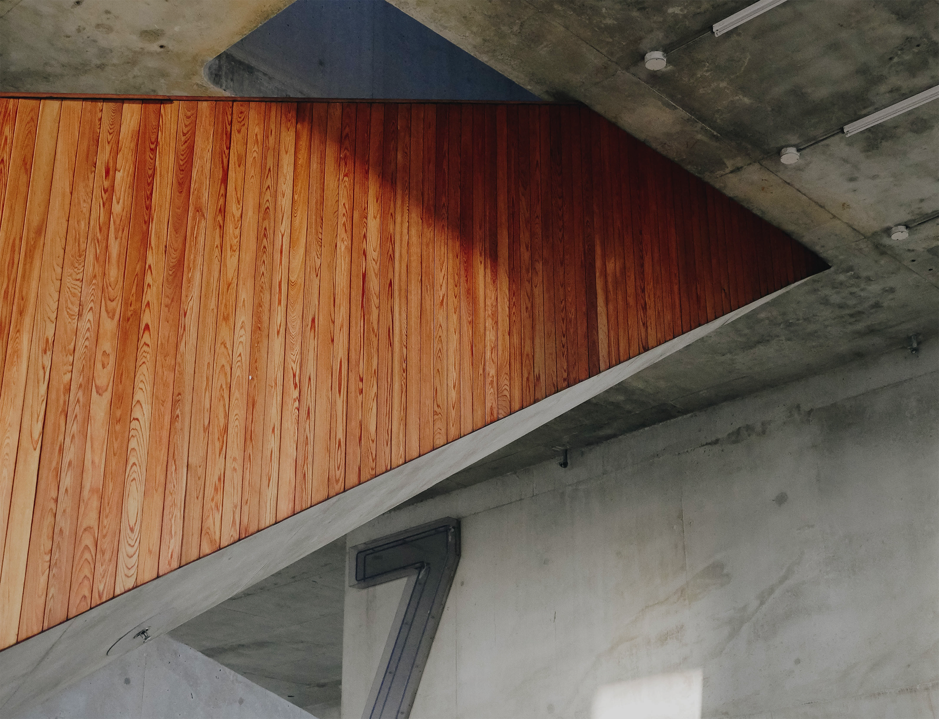 derek-torsani-7sw2pwl37Pk-unsplash-1 - Living Future