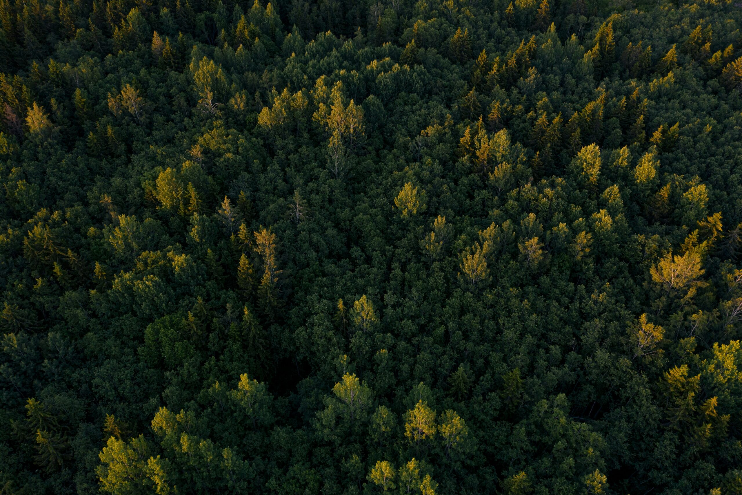 Climate + Biodiversity Positive Site Design with Pathfinder 3.0