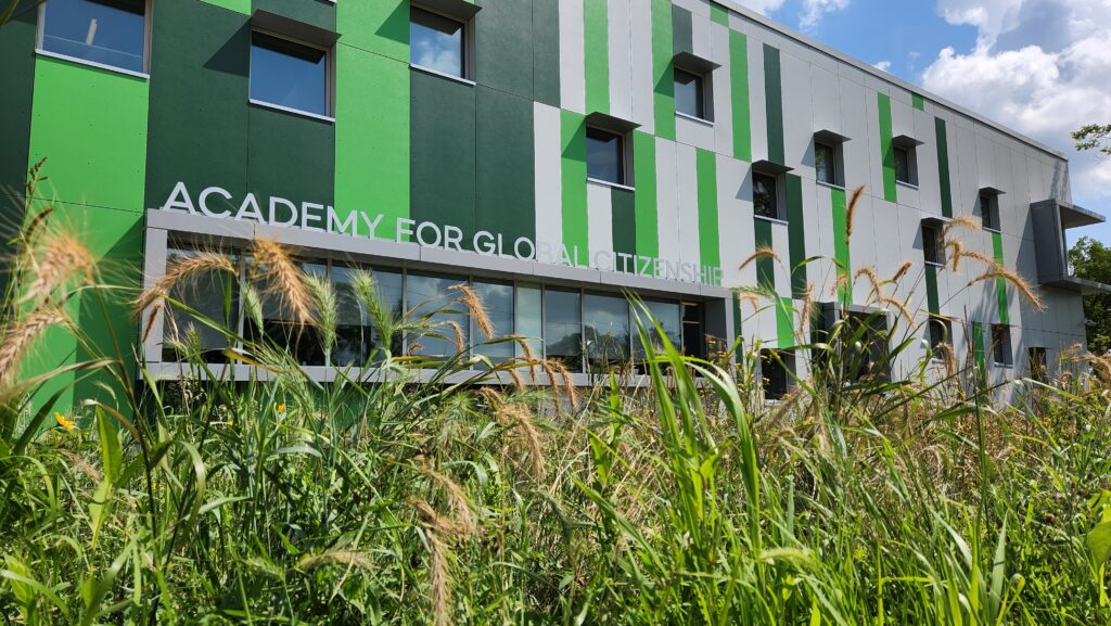 Facade of a modern school building with green and gray panels; the sign reads 'Academy for Global Citizenship' with tall grasses in the foreground.
