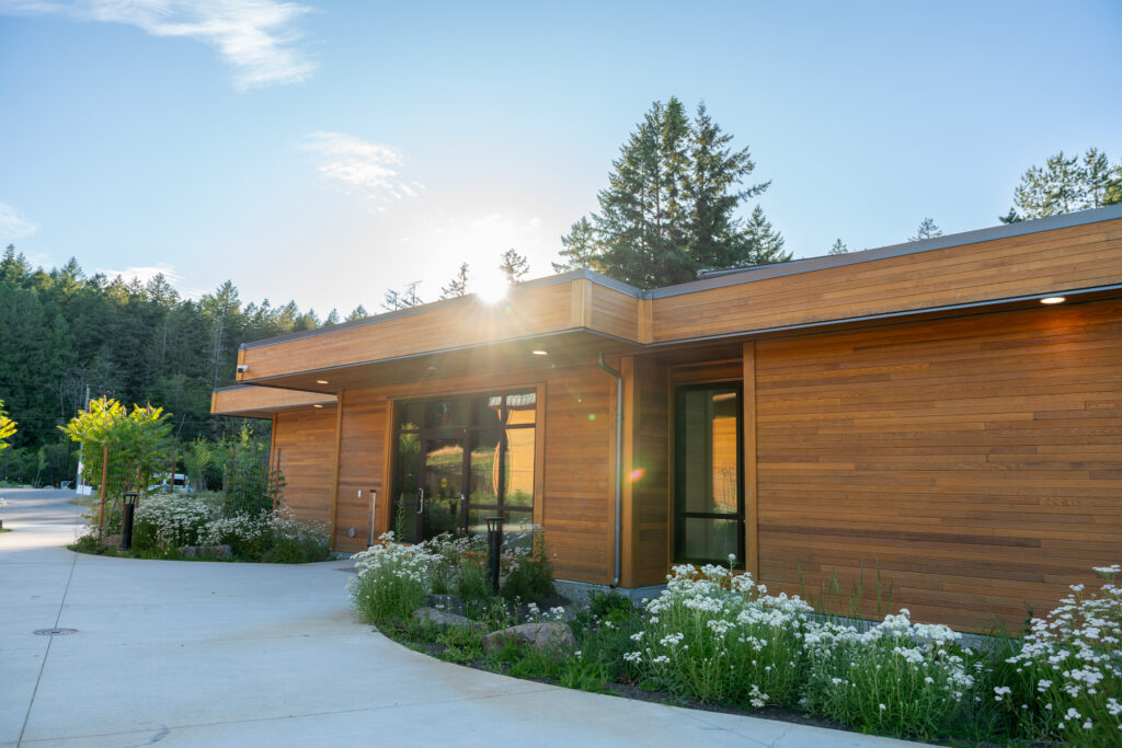 Modern wooden building with large windows, surrounded by greenery and white flowers; sun glare over the roof.